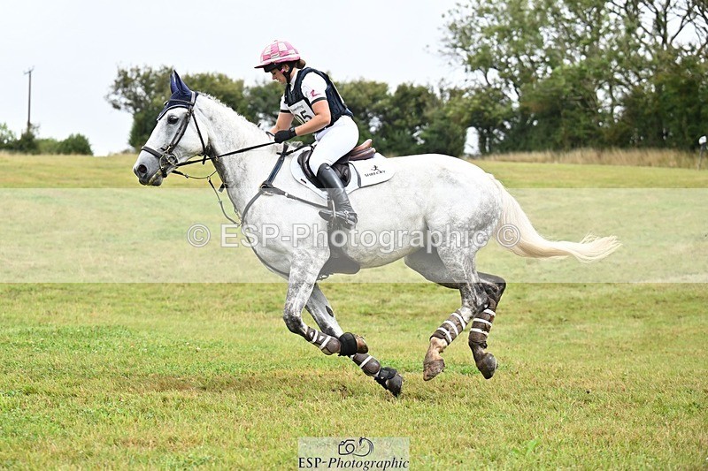 TS_b2082304 - SAT BE 90 Recovered Files fence 8