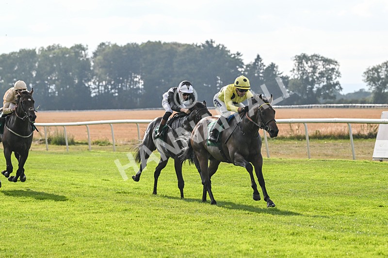 150825-Race 1-Alaminos-2368 - Race 1