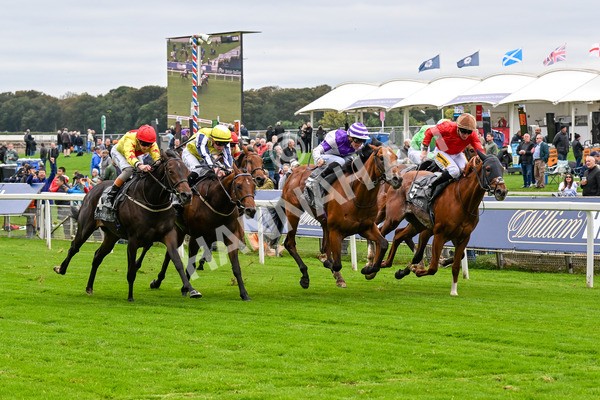 101025-Race 2-Astrazar-0145 - Race 2 British EBF £100,000 Final at York