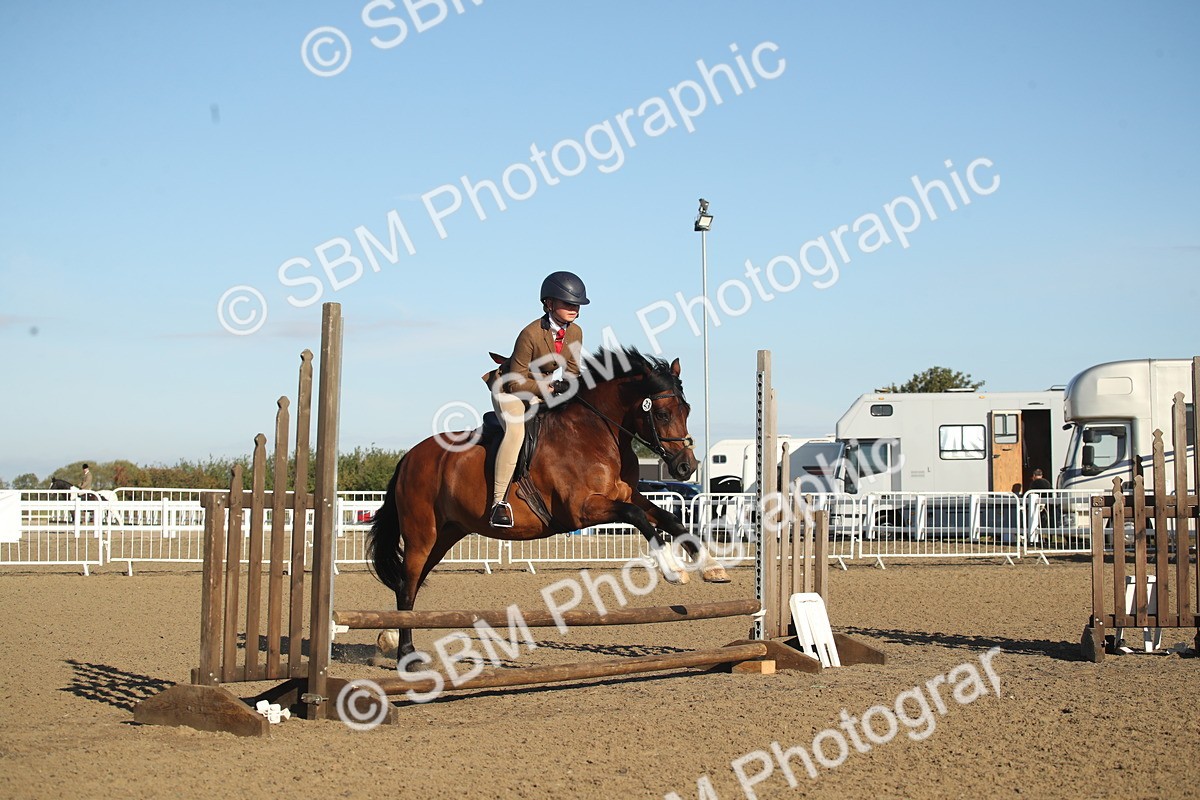 SBM_11561 - Class 502 - Riding Club Horse