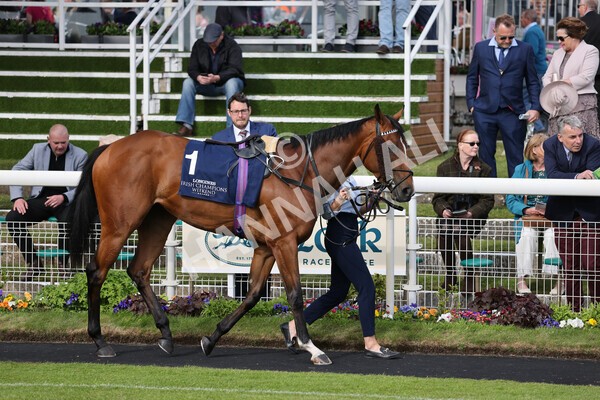 yr13052022r7-6 - Race 7 5.15pm Longines Irish Champions Weekend Stakes