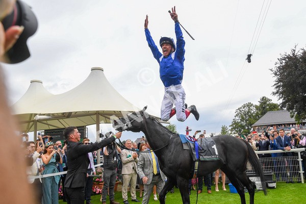 230823-Race 4-Mostahdaf-0376 - Race 4 3.35pm Juddmonte International Stakes