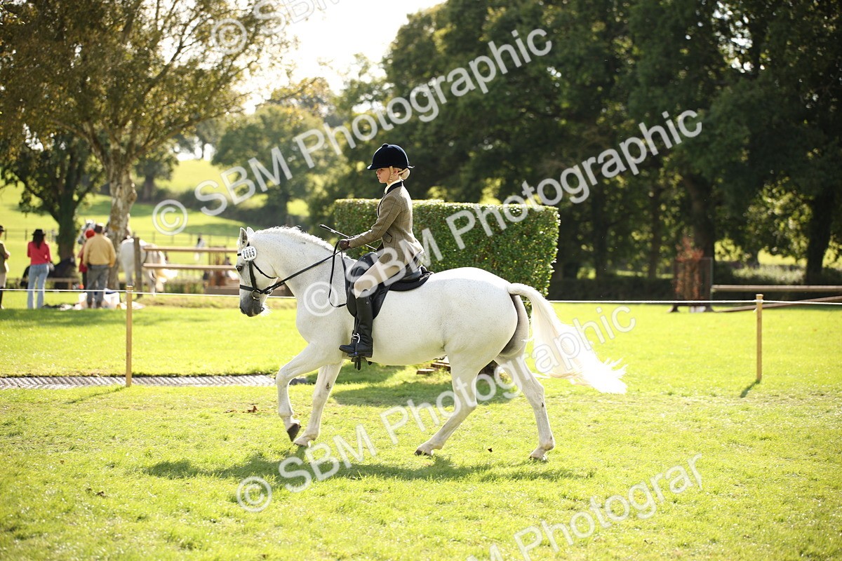 SBM_50054 - S26 - Young Veteran - Ridden