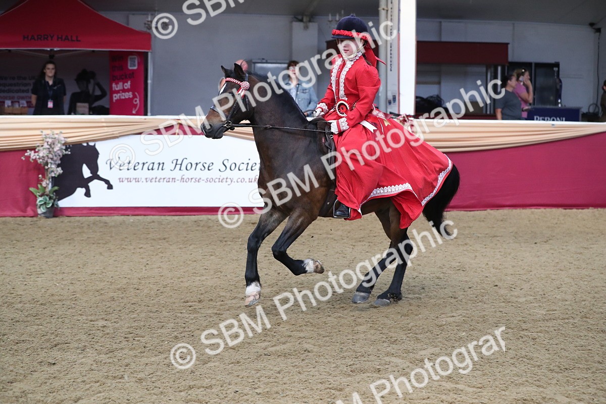 SBM_11308 - Class 104 Ridden Costume - Astride Junior