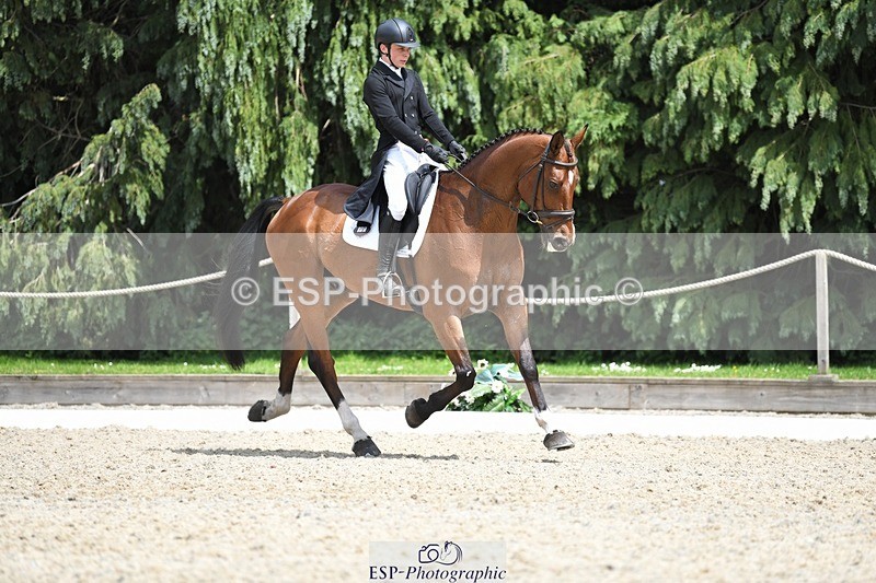 230525-140727-03091 - 318-JUST_HAVE_FAITH_TN-Alfie_Marshall-WEDTrotUp+DR