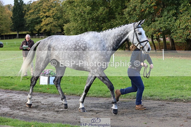 251026A-100044-22661 - D-360-Hannah.Norvill