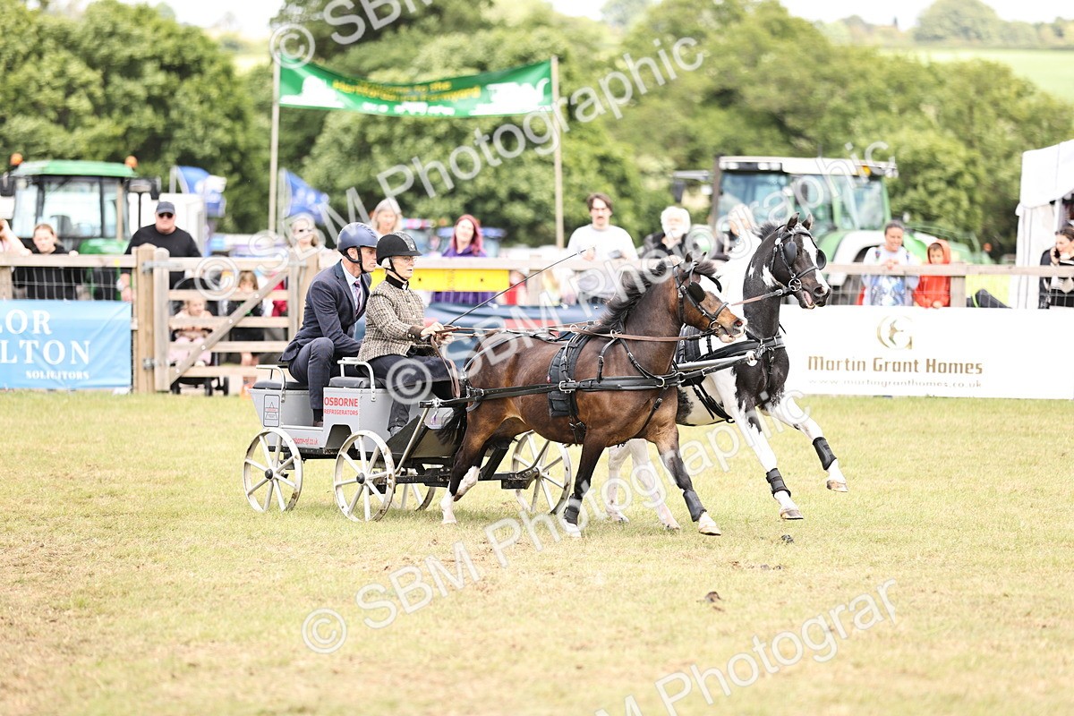 SBM_16014 - Class 91 - Scurry  exceeding 122cms
