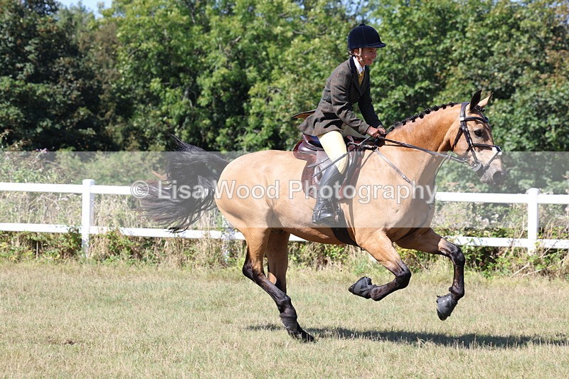 3E7A6277 - Class 6: Working Hunter 1m