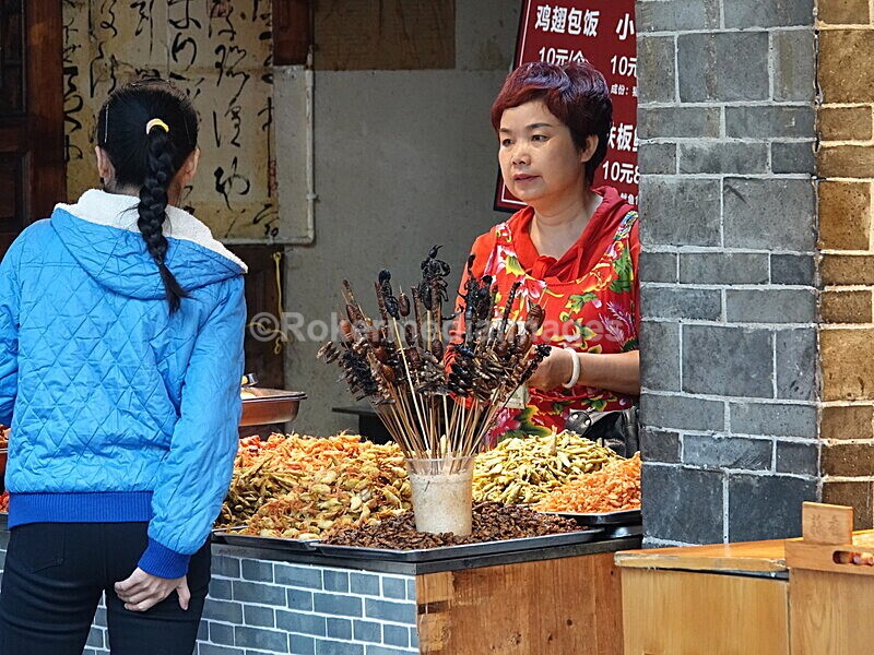 CHINA__0214 - China 2019