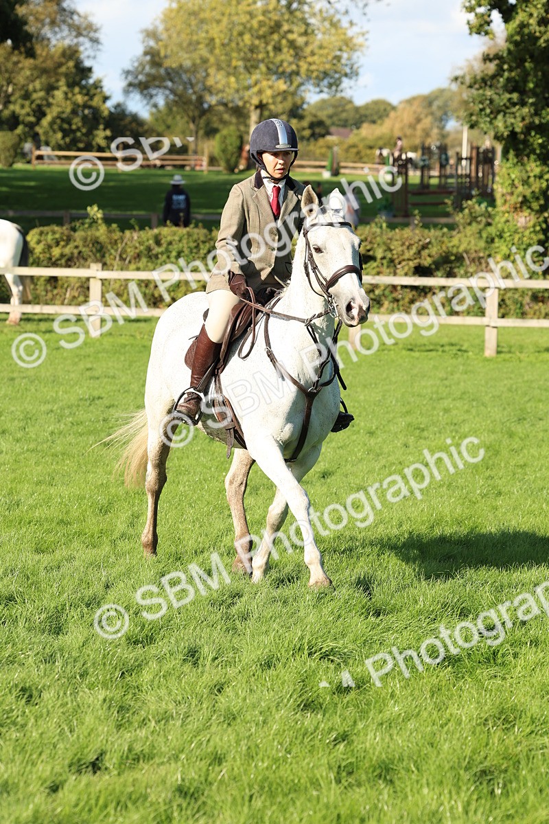 SBM_50124 - S34 - Novice & Newcomers Working Hunter