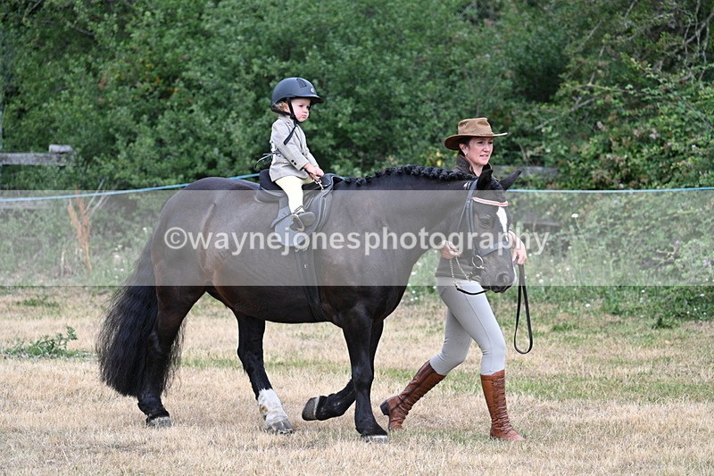 WJ7_9628 - Class 1 Lead Rein Pony