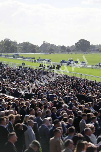 yr08102022r1-18 - Race 1 1.30pm The Coral Play 'Racing-Super-Series' for Free Nursery Handicap