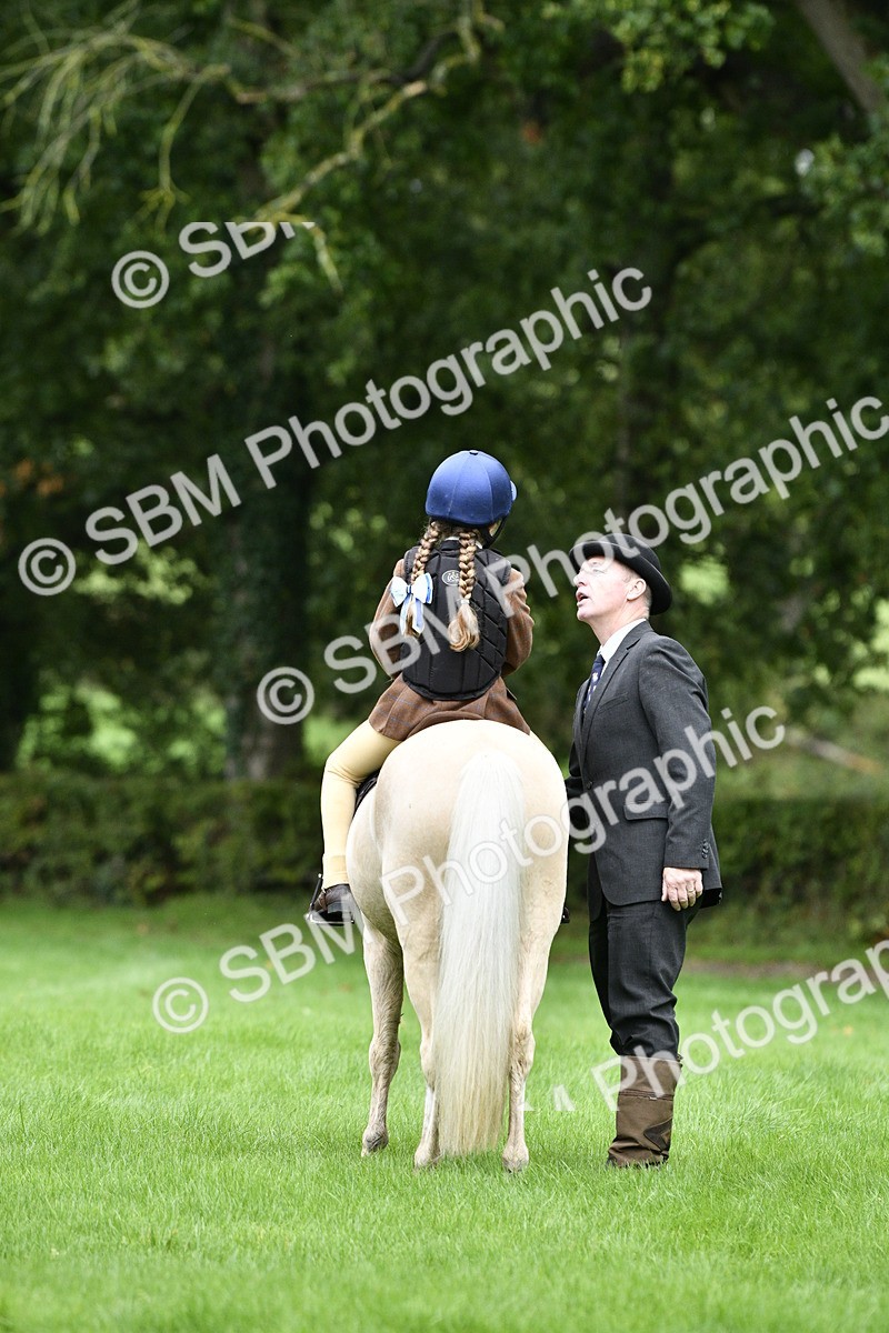 SBM_35467 - S30 - Nursery Stakes Working Hunter Pony