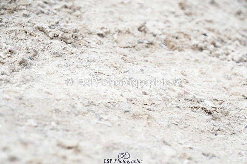 250615A-141030-11370 - Class 47 Snr British Novice 2nd Rnd