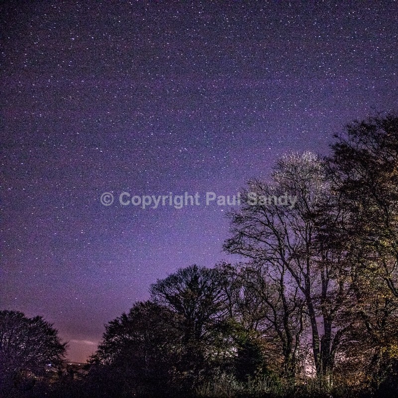 An original photograph by Paul Sandy - paulsandy.co.uk - Recent
