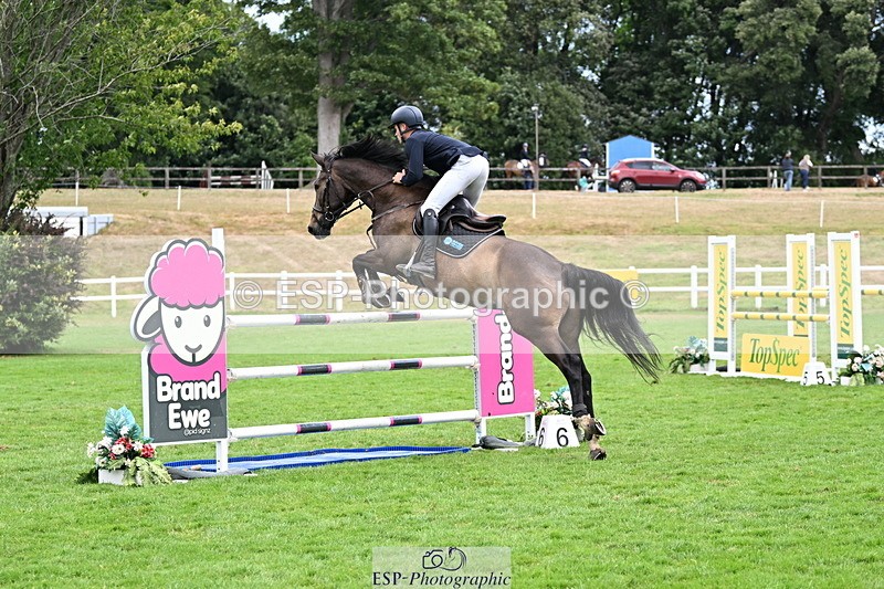 250706A-132659-20140 - Cls 45 Snr 1.20m Grand Prix