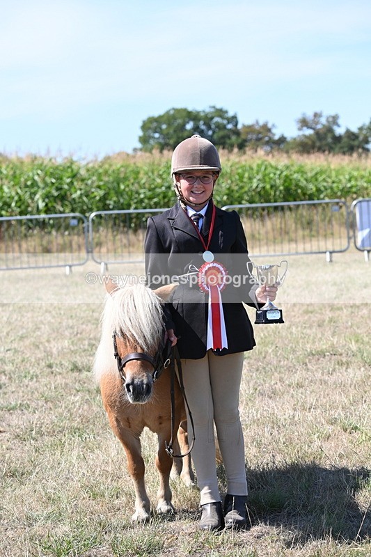 WJ6_8764 - Class 37b Best Loan Pony In-hand