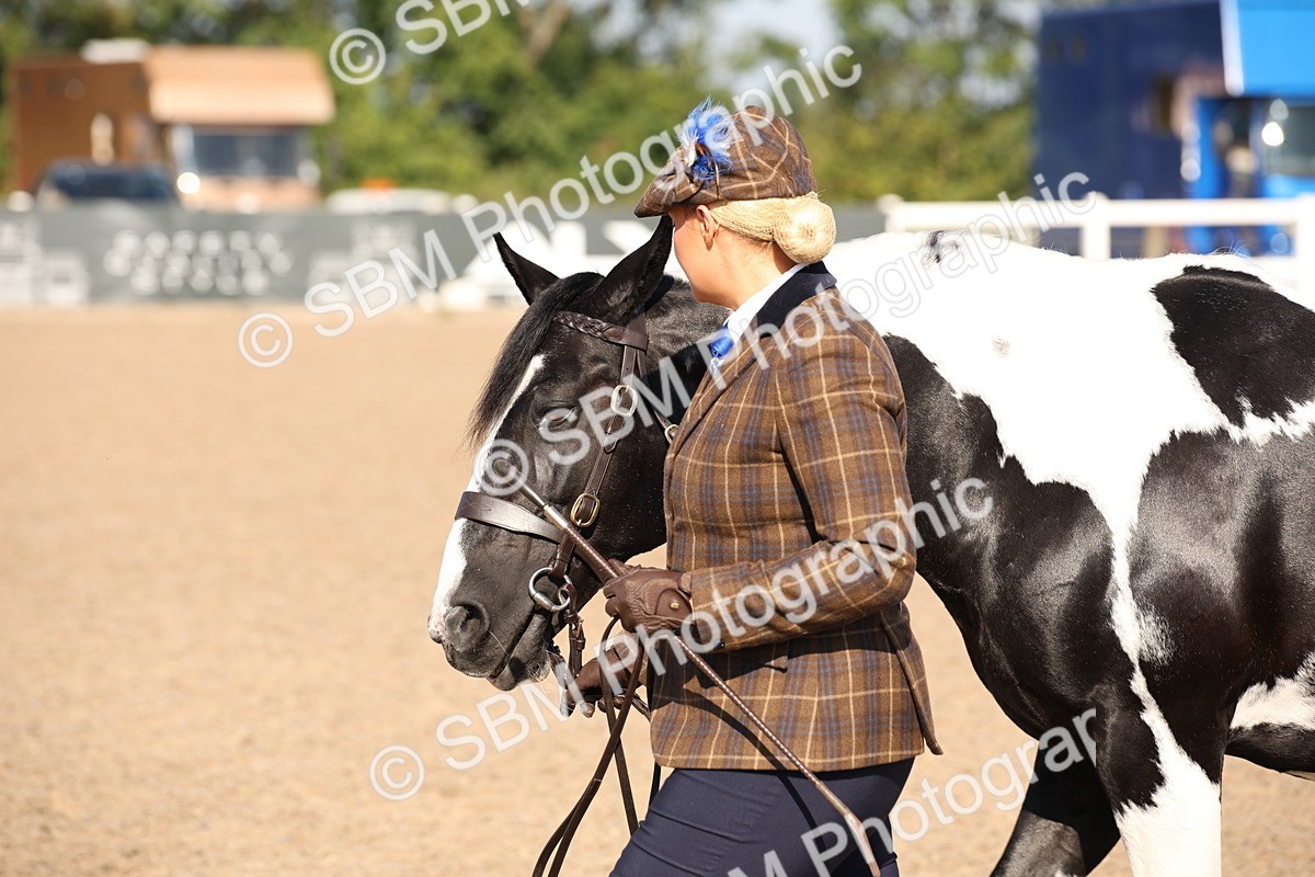 SBM_01494 - Class 15 IH Coloured