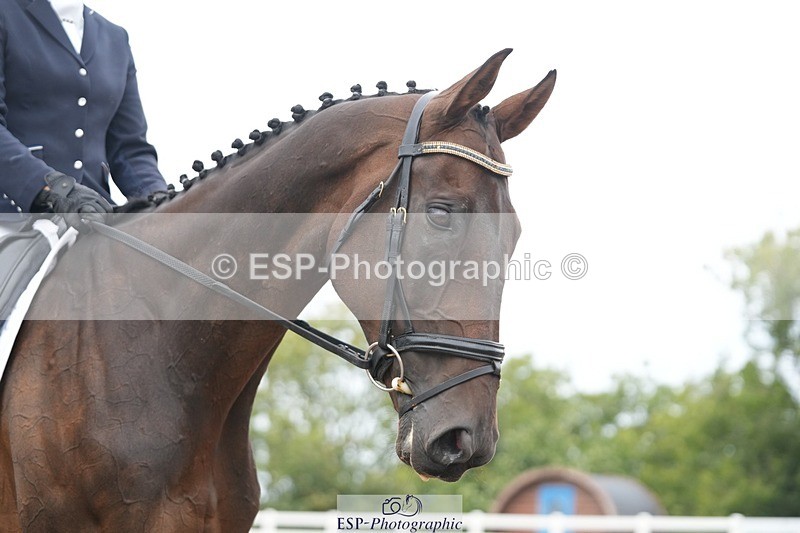 250907-124350-07400 - 097-Jude.FarrLoch.Arthur