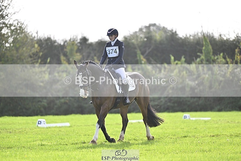 241025-120704-07015 - 374-Bella.Balian-BEECHWOOD.JOEY