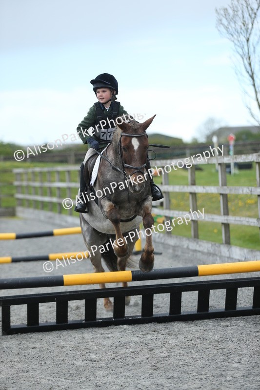 20260412-1850 - Show Jumping