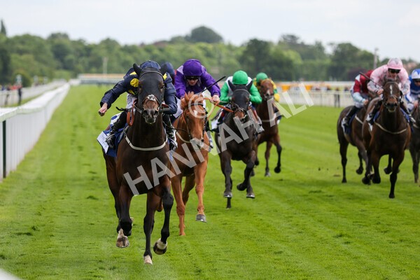 yr11062022r5-24 - Race 5 3.40pm The Pavers Foundation Catherine Memorial Sprint Stakes