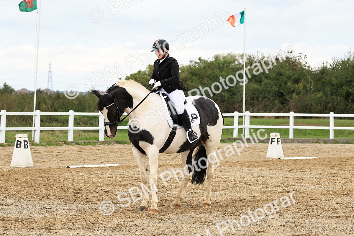 SBM_003541 - Novice 1