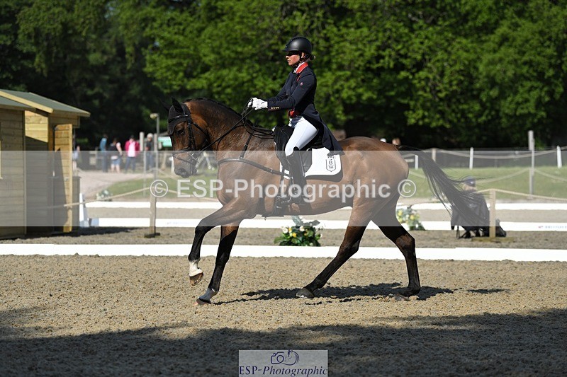 230525-092744-01607 - 305-BARRINGTON_57-Izzy_Taylor-WEDTrotUp+DR