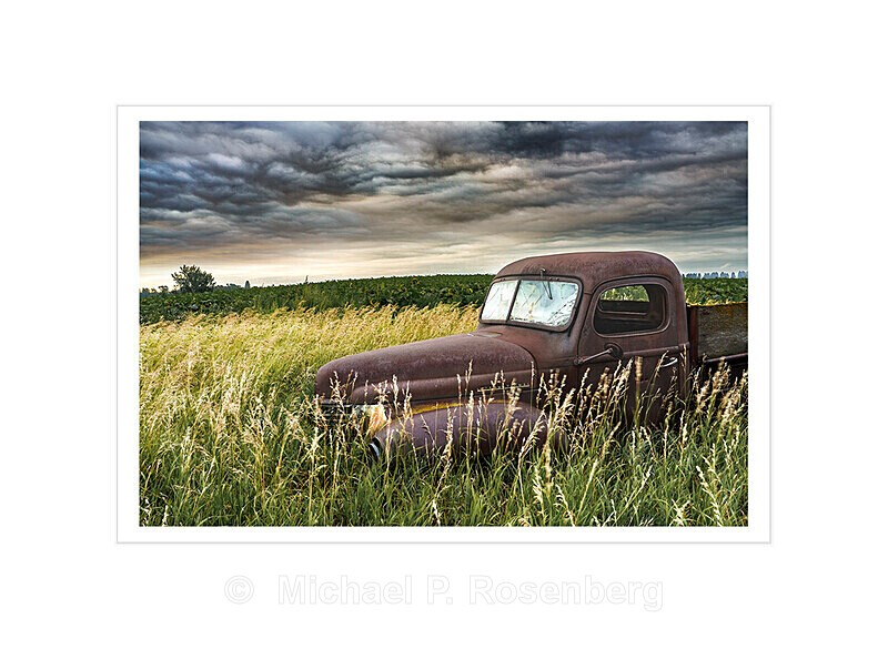 Sunrise Over Sunflower and Wheat Fiels, ND - HOME ON THE PRARIE