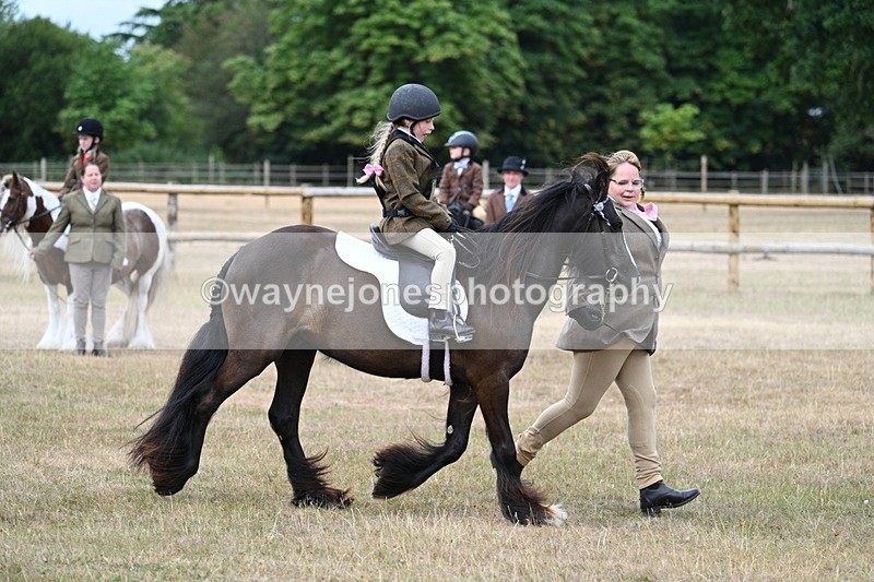 WJ7_6630 - Class 1 Lead Rein Pony