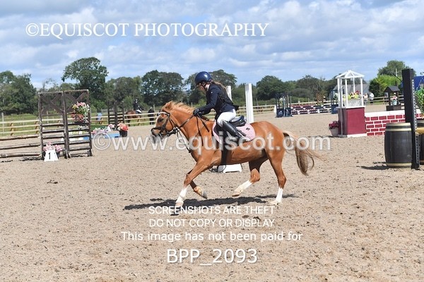 BPP_2093 - DERBY CLASS 6 - 70CM