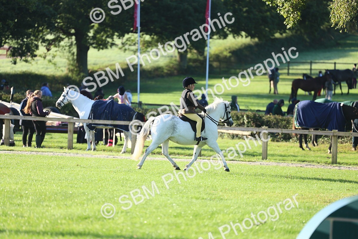 SBM_31798 - S28 - Nursery Stakes Working Hunter Pony