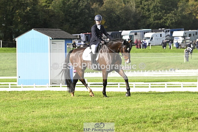 251023A-150205-04486 - E-385-Delilah.Wood