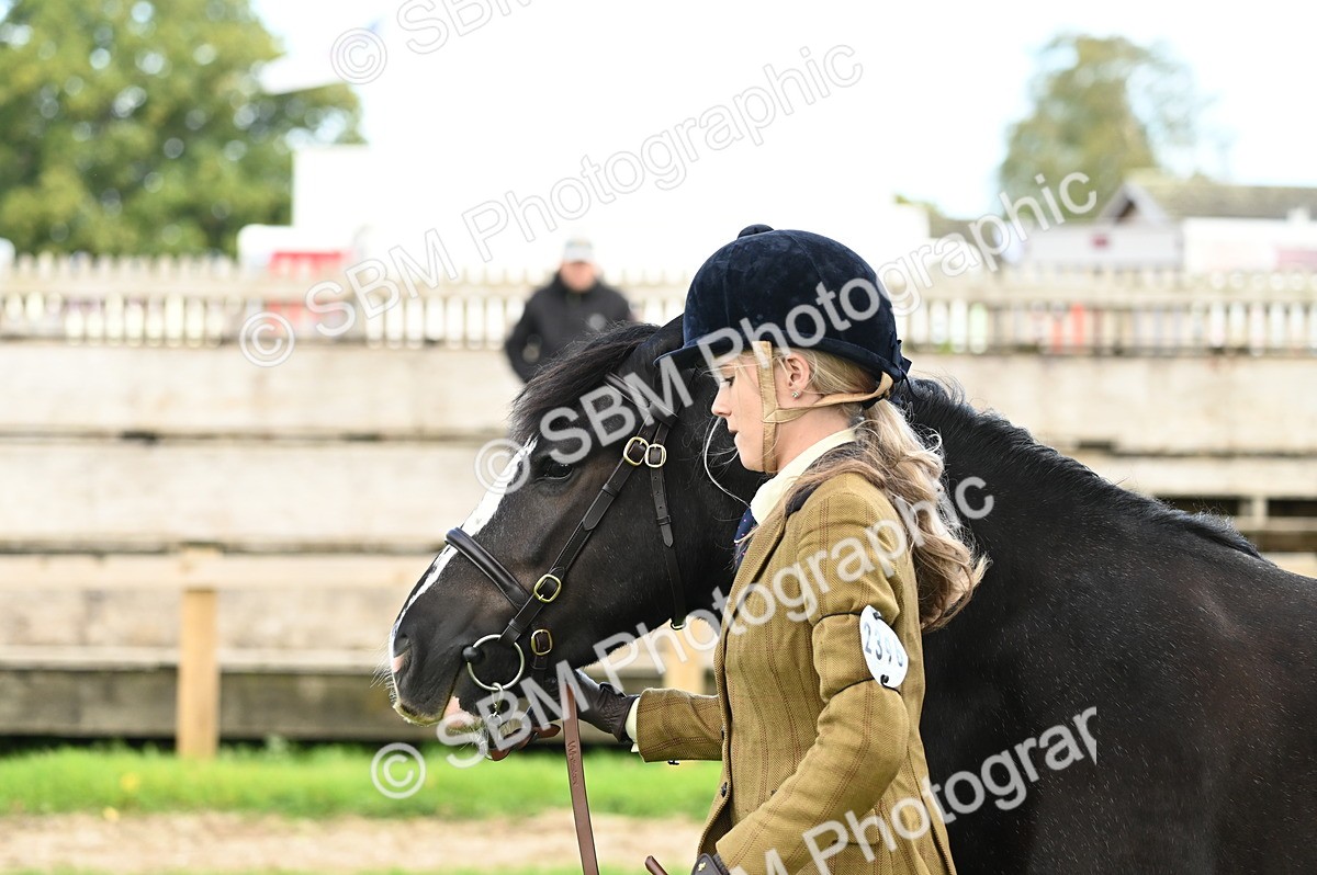 SBM_25007 - S5 - Novice & Newcomer In hand