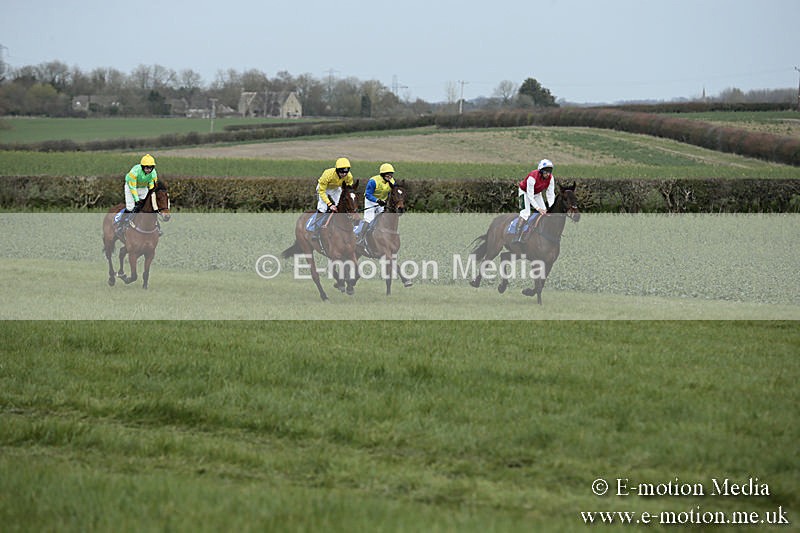 PtP 230319 6 - VWH Hunt Siddington Point-to-Point Racing 23/03/19