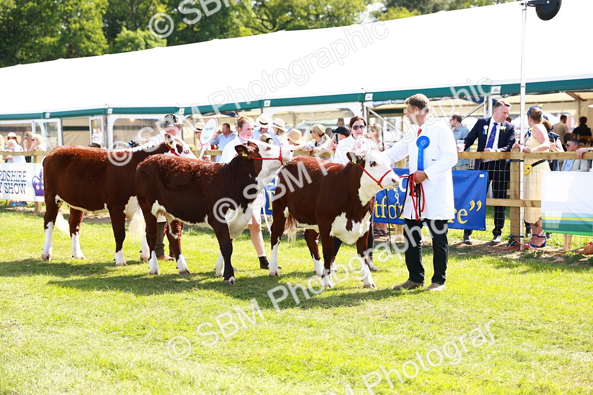 SBM_08444 - Grand Parade