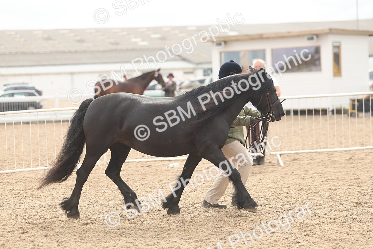 SBM_03165 - Class 16 - IH M&M Wildcard