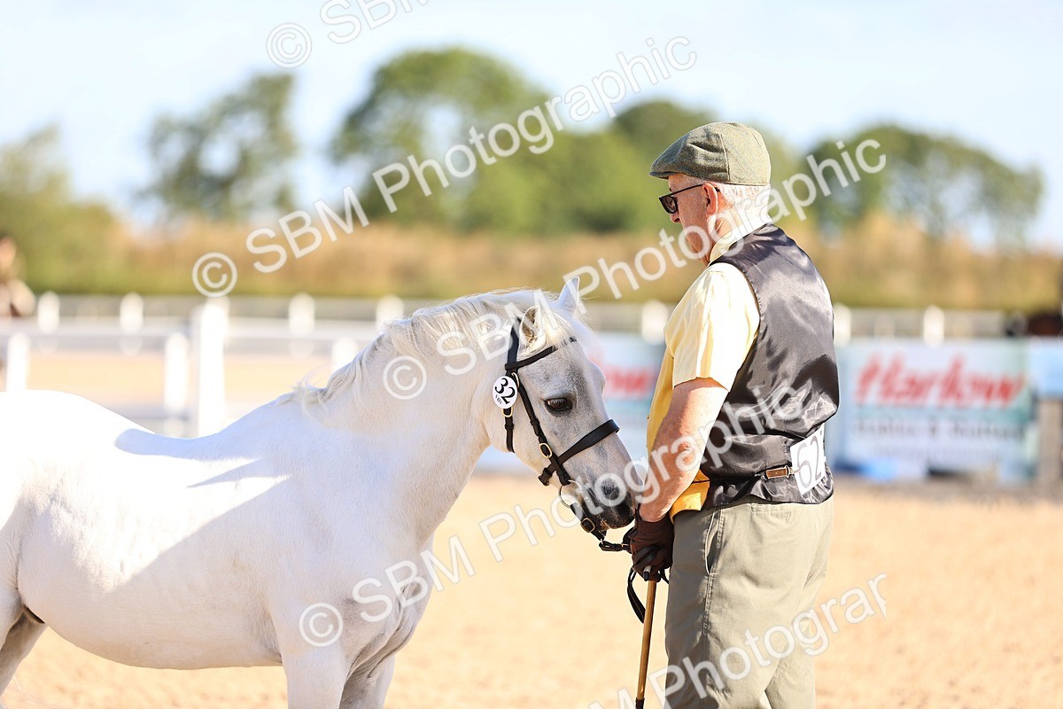 SBM_08497 - Class 402 - IH Veteran Pony