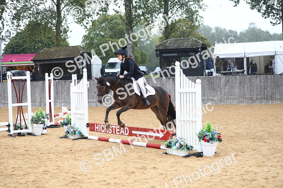 SBM_71655 - J4 - Mini Tour Junior Pony 45cm Championship