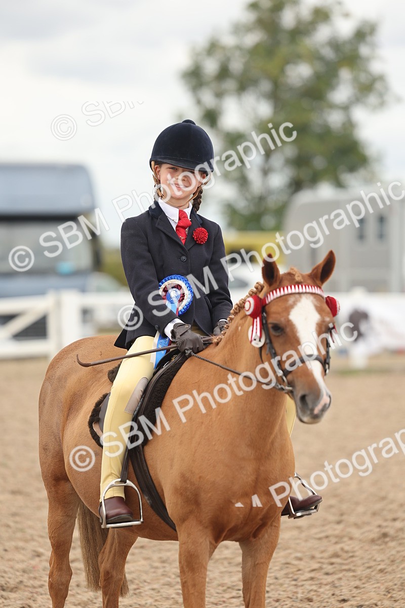SBM_16080 - Class 311 - Ridden Show pony-Show hunter Pony