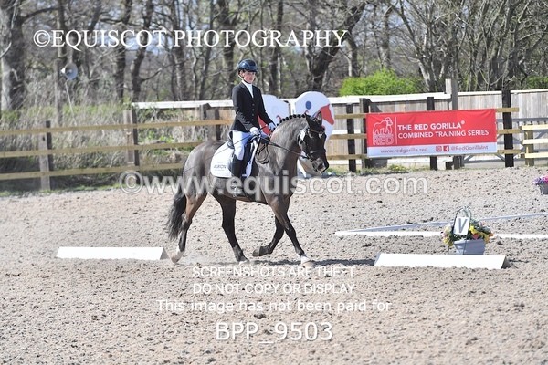 BPP_9503 - NOVICE 6