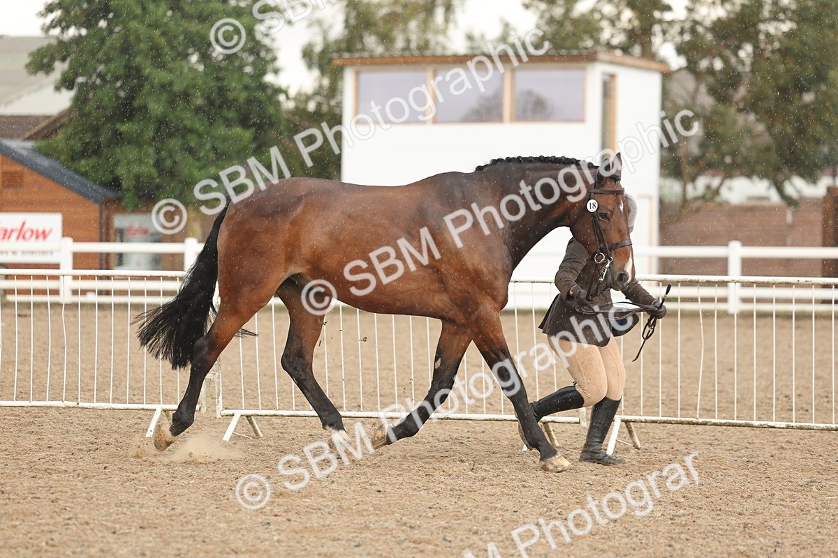 SBM_07719 - Class 27 - IH Competition Horse/Pony