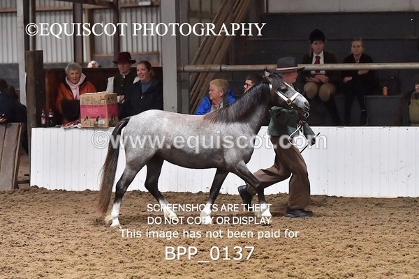 BPP_0137 - RING 1