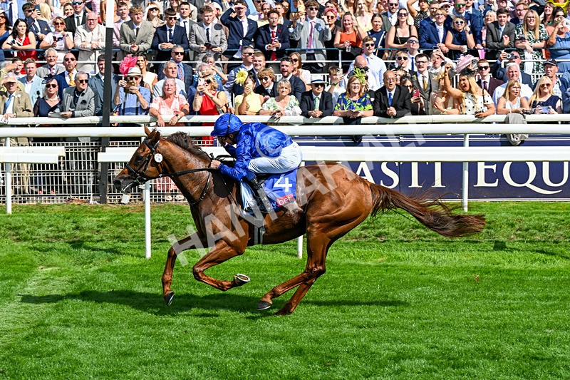 220826-Race 3-Notable Speech-0380 - Race 3 15.00pm Sky Bet City Of York Stakes