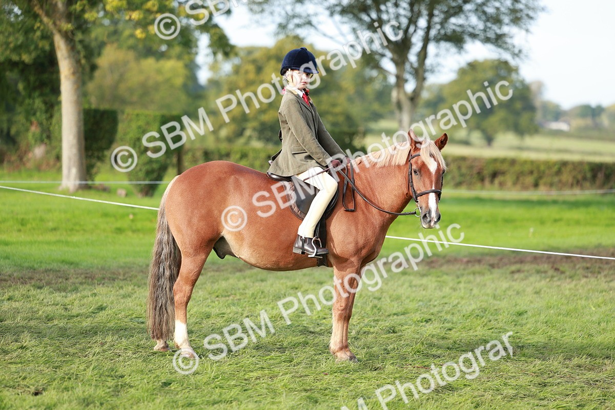 SBM_56287 - S39 - Starters In Hand Showing