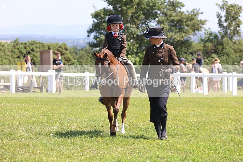 JPP_2166 - Class 20: Tiny Tots Working Hunter Pony