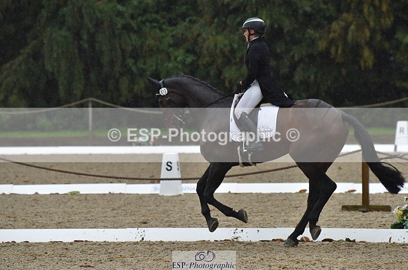 231018-154458-00870 - 012-ROMANY.CRICKET-Nana.Dalton-DR