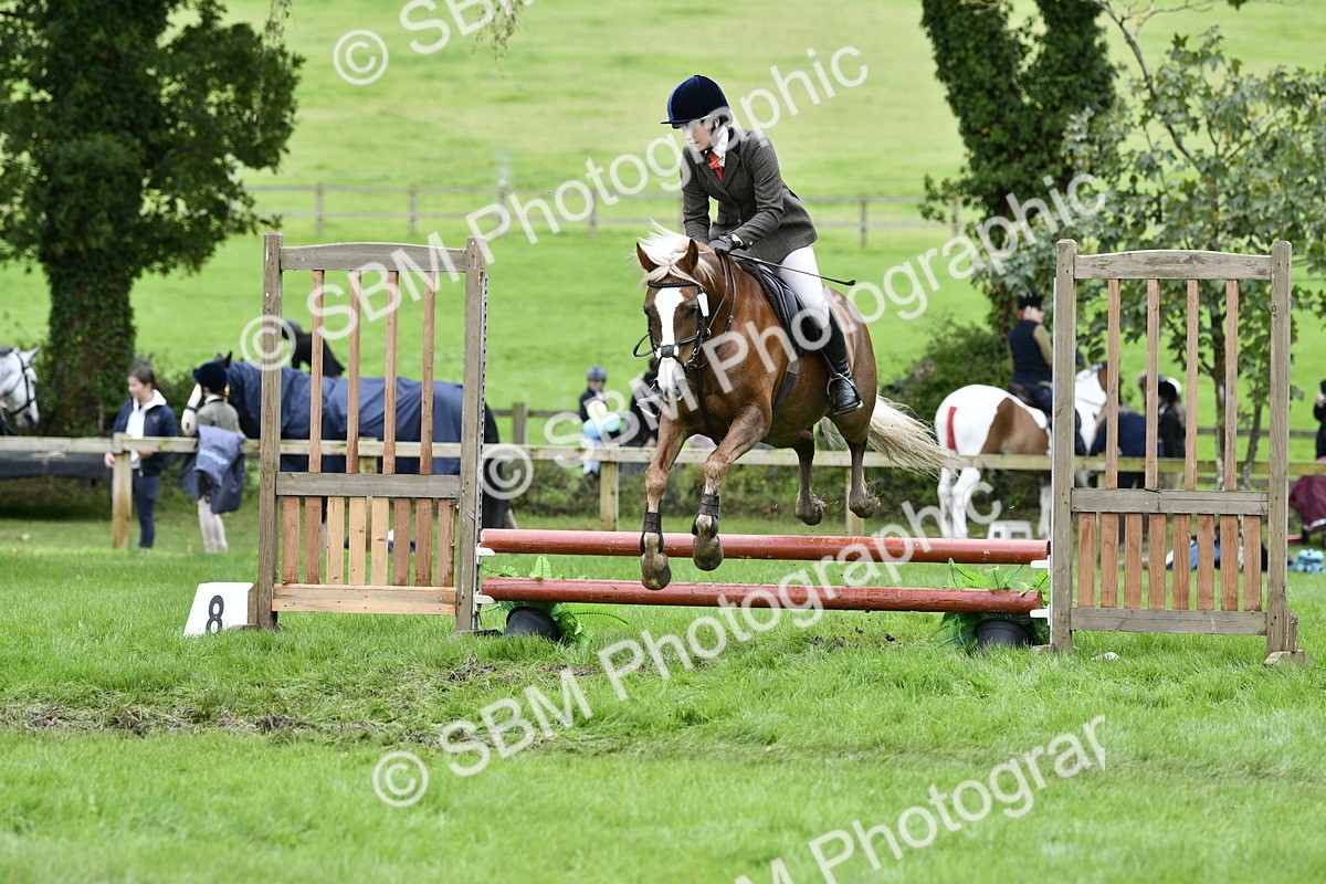 SBM_41376 - S32 - Mountain & Moorland Working Hunter Pony