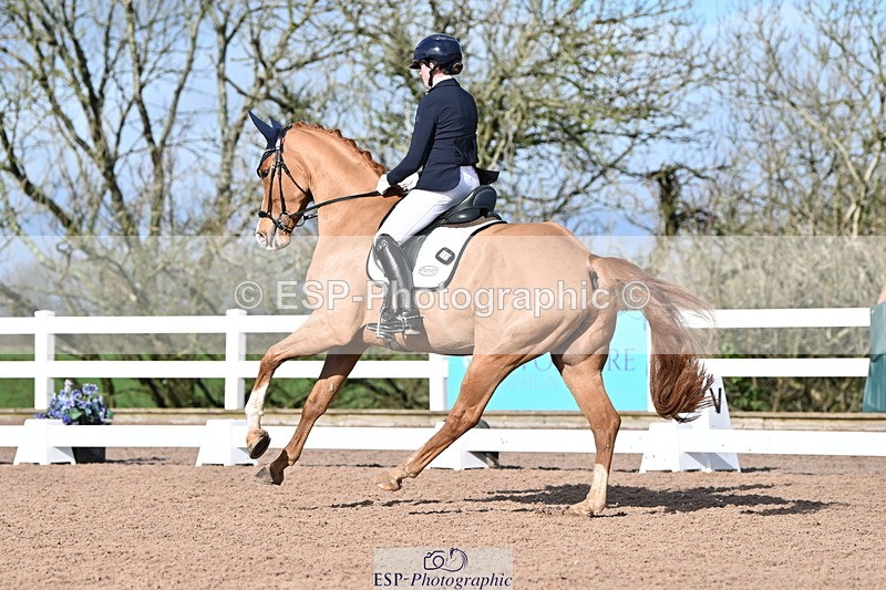 240218A-114446-06840 - 272-Beth.Bainbridge-Newton.Dreamcatcher