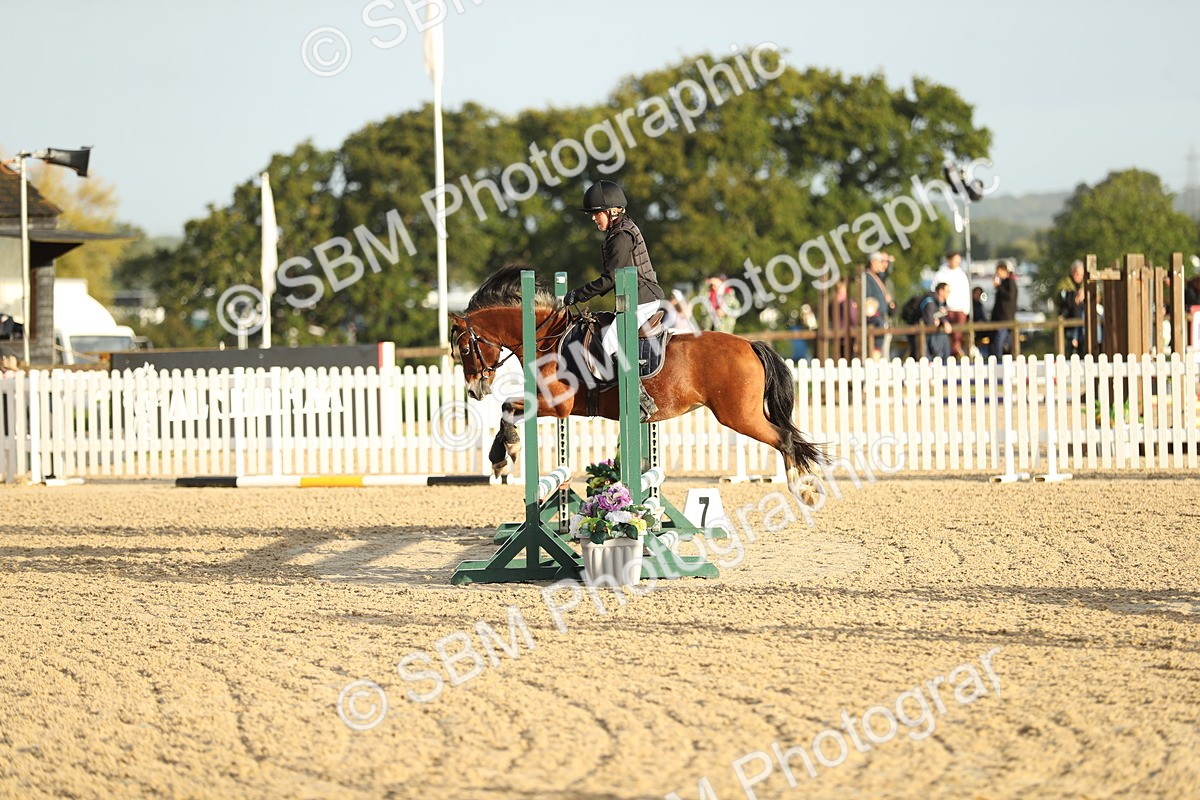 SBM_34155 - J60 Clear Round 50cm